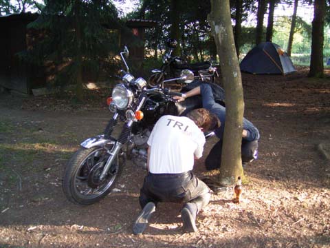 RIMG0785