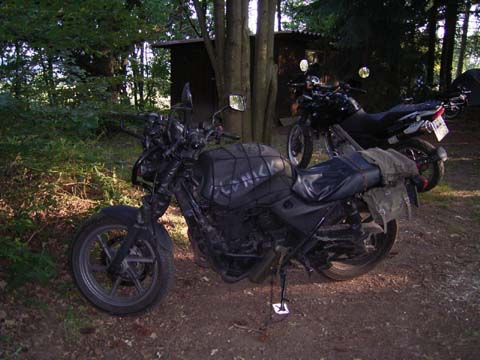 RIMG0786