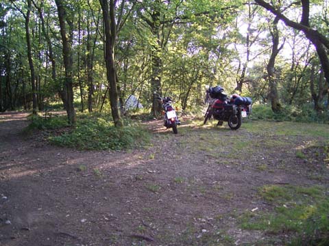 RIMG0788