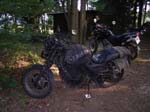 RIMG0786